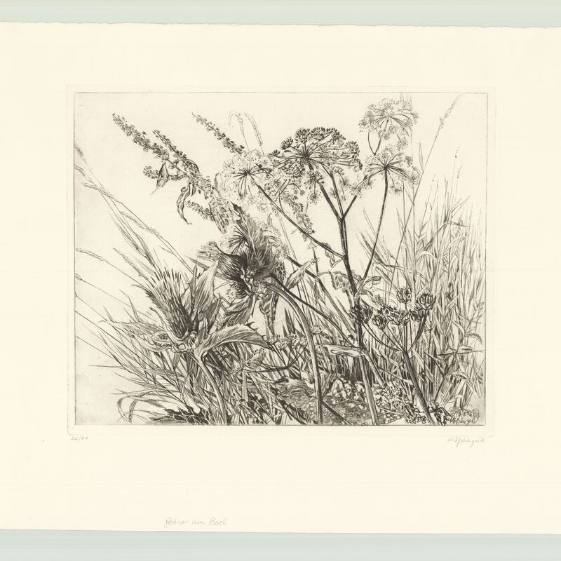 Gräser am Bach, 1970, Radierung 400x325