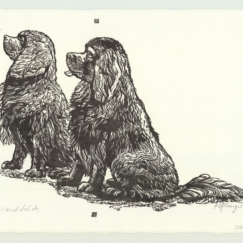 Neufundländer, L o.J., 323x239

 






