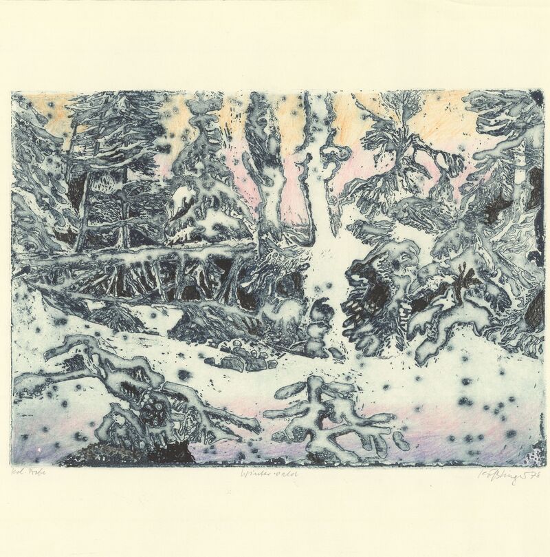 Winterwald FR  kol. 1978, 341x240 (unverkäuflich)






 






