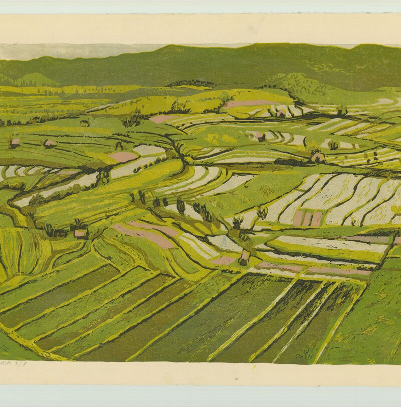 Bali, Reisfelder, FL 1997, 582x368















