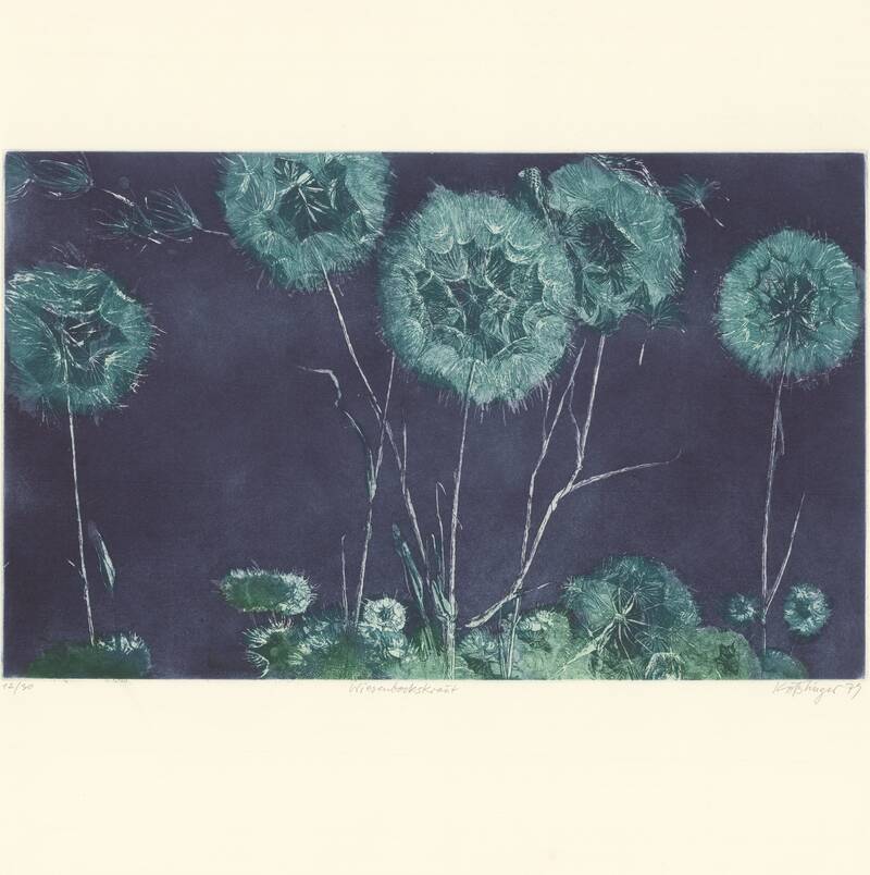 Wiesenbockskraut, FR 1979, 491x299






