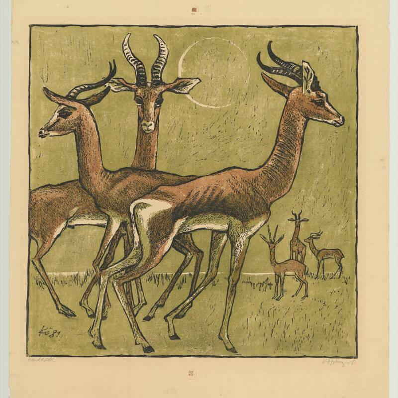 Antilopen FL 1981, 466x467
